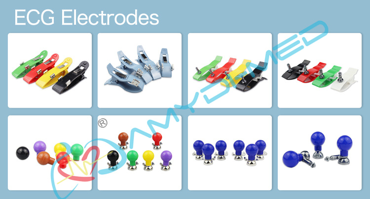 Adult ECG Electrode Limb Clamp Electrodes Multifunctional For IEC AHA