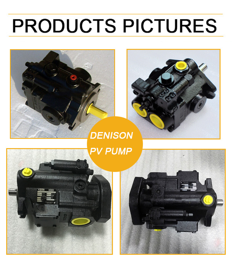 Parker Denison Axial Piston Pump , High Pressure Hydraulic Pump PV29-1R1D-C02