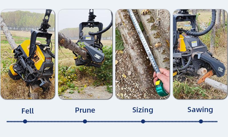 600 China New logging equipment forest logging machine with free segment cutting forestry harvesting head