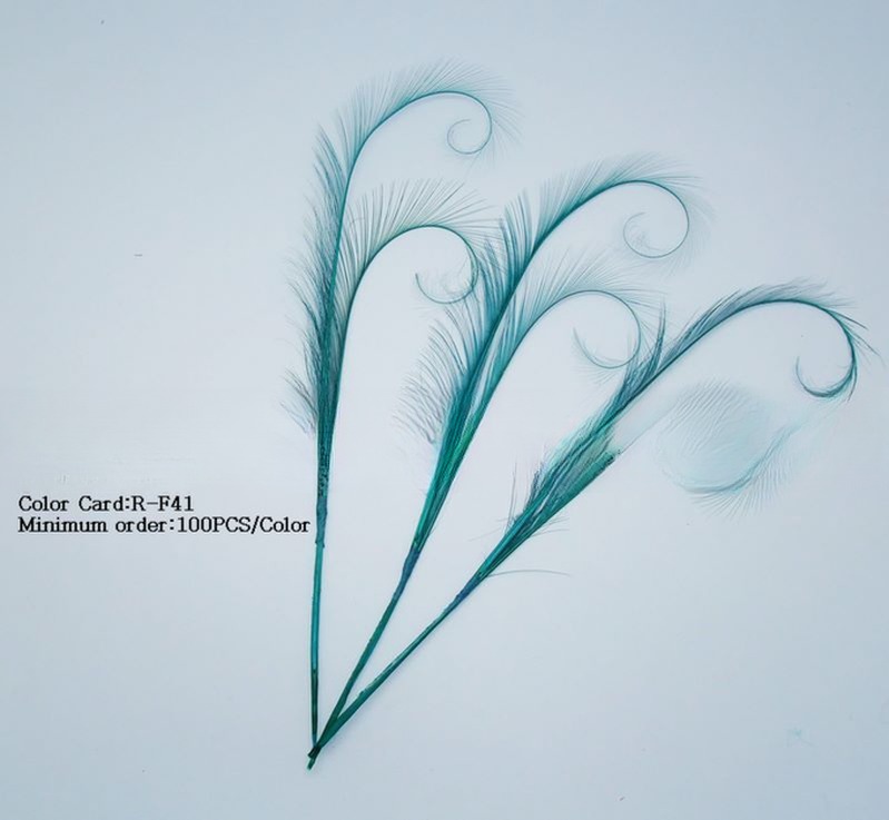 Unique Pattern Dyed Burnt Curly Ringneck Pheasant Tail Feather for Event Party Supplies