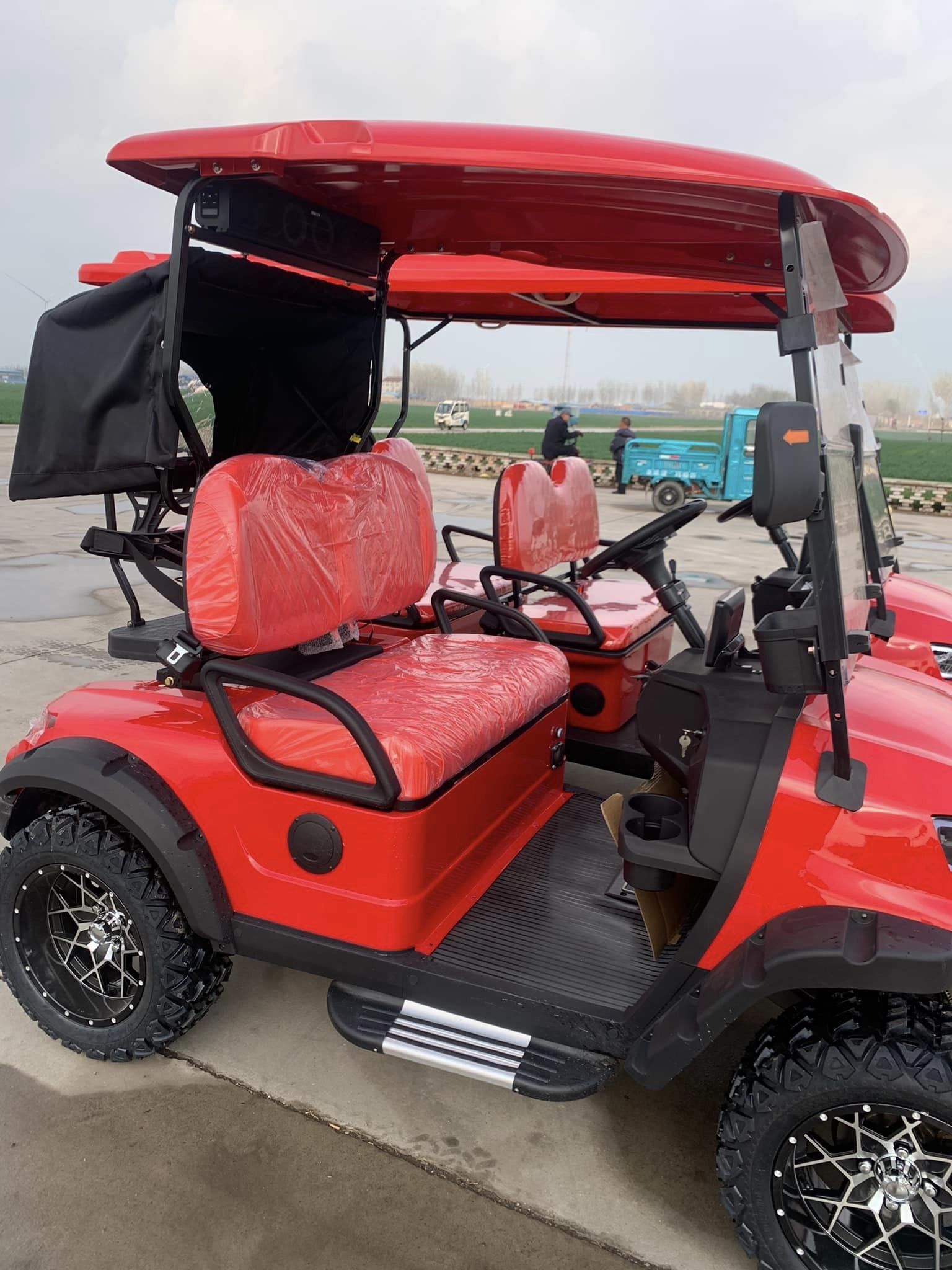 Enhanced Visibility 2 Seater Golf Cart With Striking LED Lights