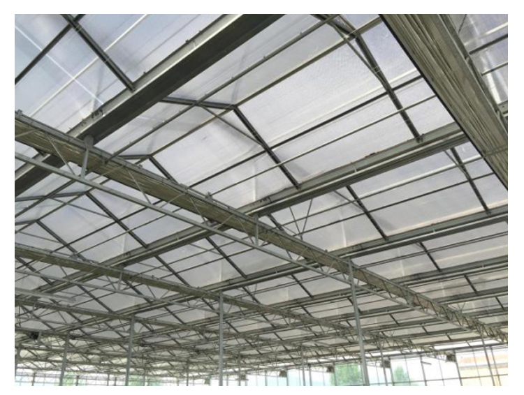PC Greenhouse for Multi-Span Agricultural Greenhouses Section 8.0m Strong Structure