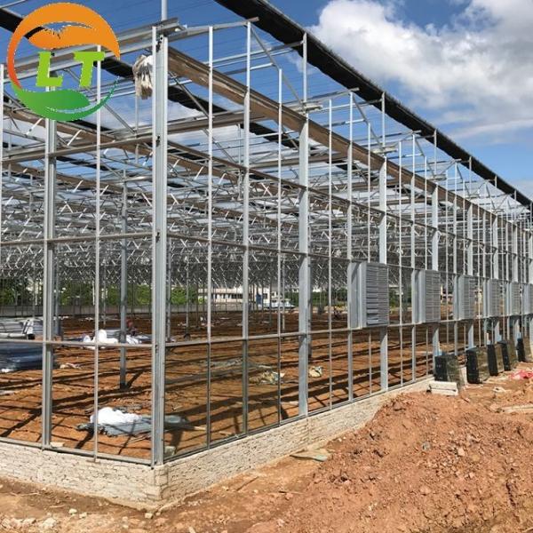 Hydroponic Agriculture Glass Greenhouse with Top Ventilation Side Ventilation
