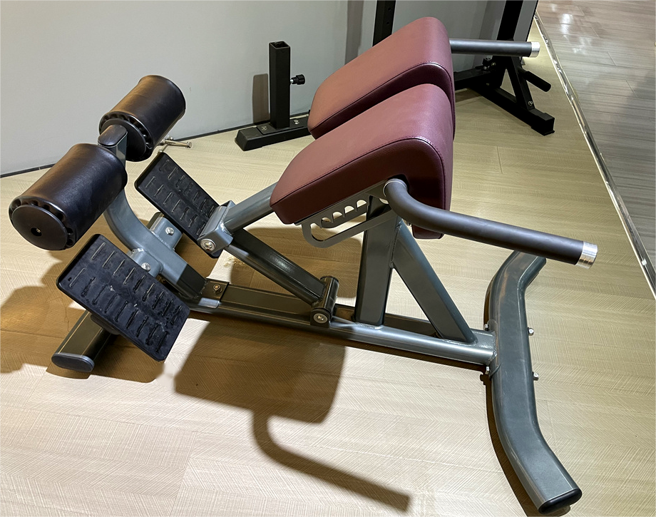 Adjustable Back Extension Roman Chair Home Gym Strength Training Machine for Abdominals and Back Exercise Pin Load Selection