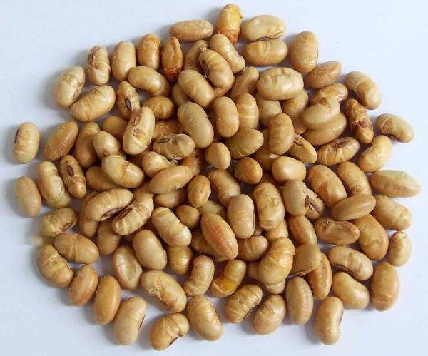 Kosher Halal Certified Coated Roasted Spicy Yellow Edamame Soya Bean Snacks ISO