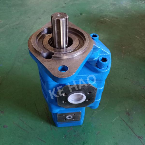 CBGJ Double Pump Rhomb cover Spline Blue Compact Original Gear Pump For