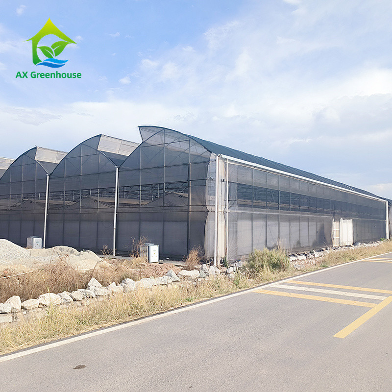 Outdoor Plastic Film Poly Tunnel Agricultural Seeding Greenhouse For Sale