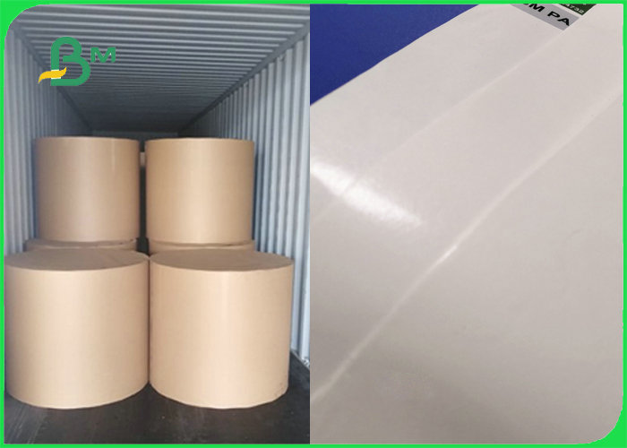 300gr 350gr Food Grade Single Sided PE Coated Paper Sheet For Food Box 100x70cm