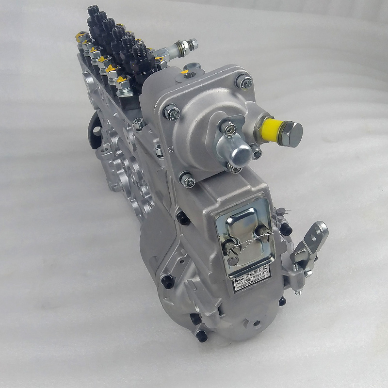 612601080397 Weichai Power Fuel Injection Pump for Shacman F3000