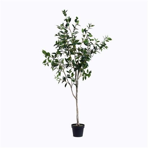  Artificial Bay Trees Manufactures