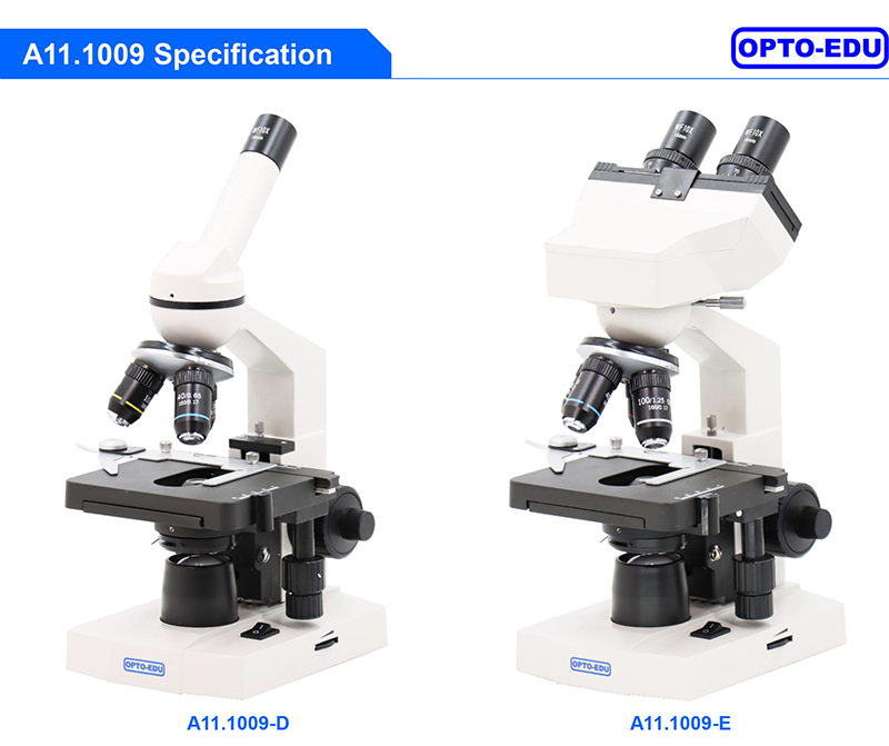 A11.1009 1000X LED Light Source Biological Microscope For Student / School
