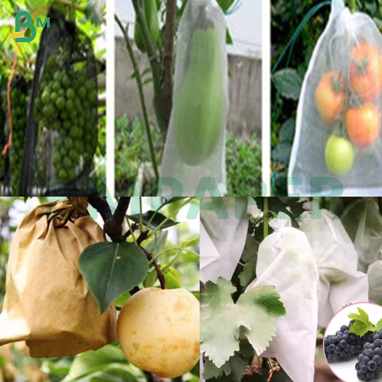 30gsm Kraft Paper Sheets for Protecting Fruits and Vegetables