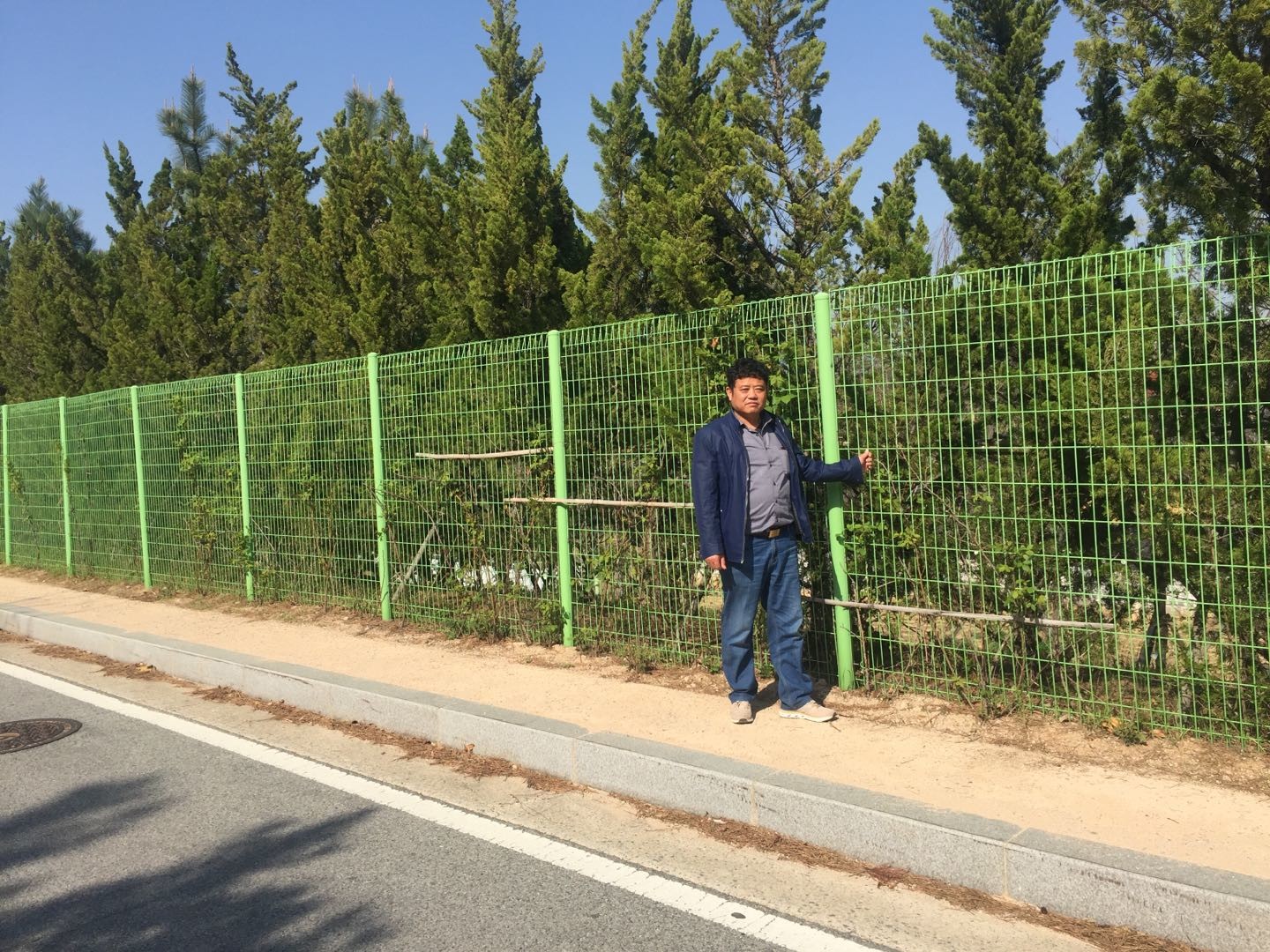 Custom Korea Safety Brc Wire Mesh Fence , Brc Mesh Fence 1.2m * 2.0m