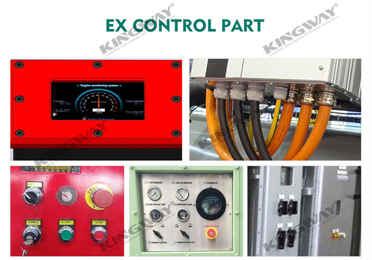 IP55 Protection ATEX Zone 2 Equipment 100KVADiesel Generator Integrated Lifting Frame