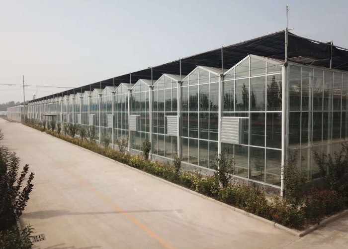 Farm Agriculture Greenhouse Equipments Multi Span Glass Inner Outer Shading System