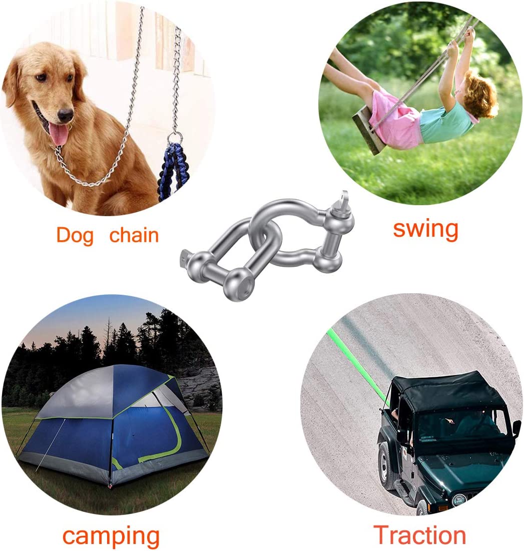 Stainless Steel Long D Shackle with Screw Pin Rigging Hardware in Polished Finish