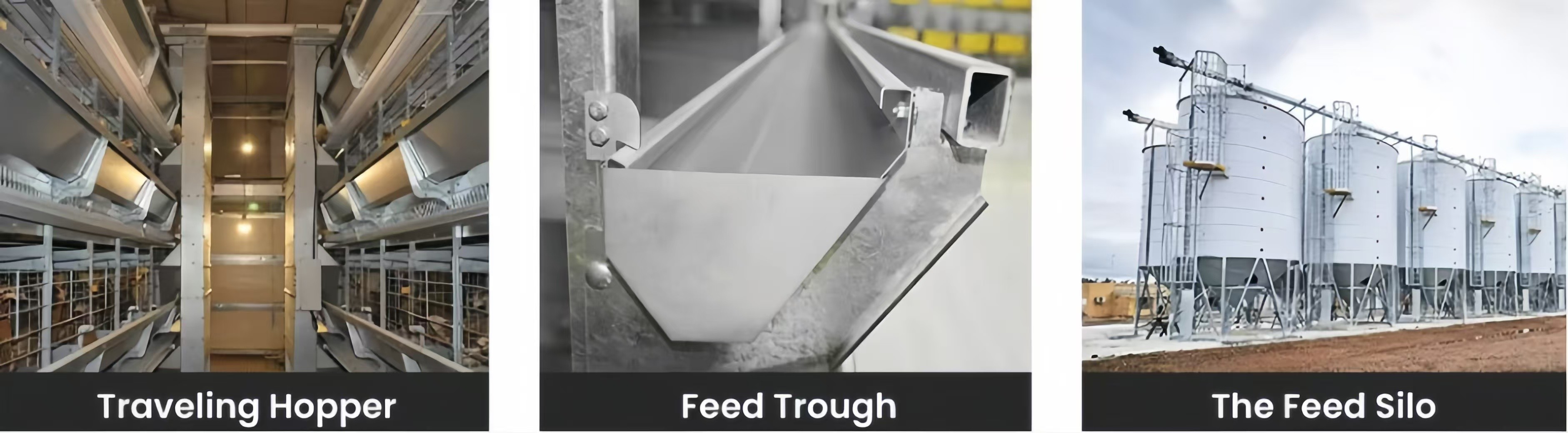 Pull Out Slat Chicken Layer Cages Automatic Harvesting Broiler Battery Cages For Laying Hens