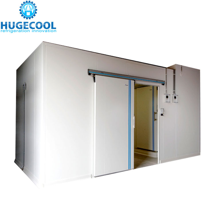 110v 220v Display Refrigerator Showcase , Display Fridge Shelves With Glass Door