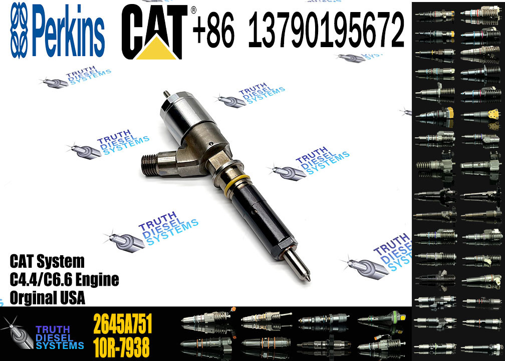 Fuel Injector Assembly 2645A709 295-9130 382-0480 282-0490 292-3780 306-9380 306-9390 310-9067 2645A751