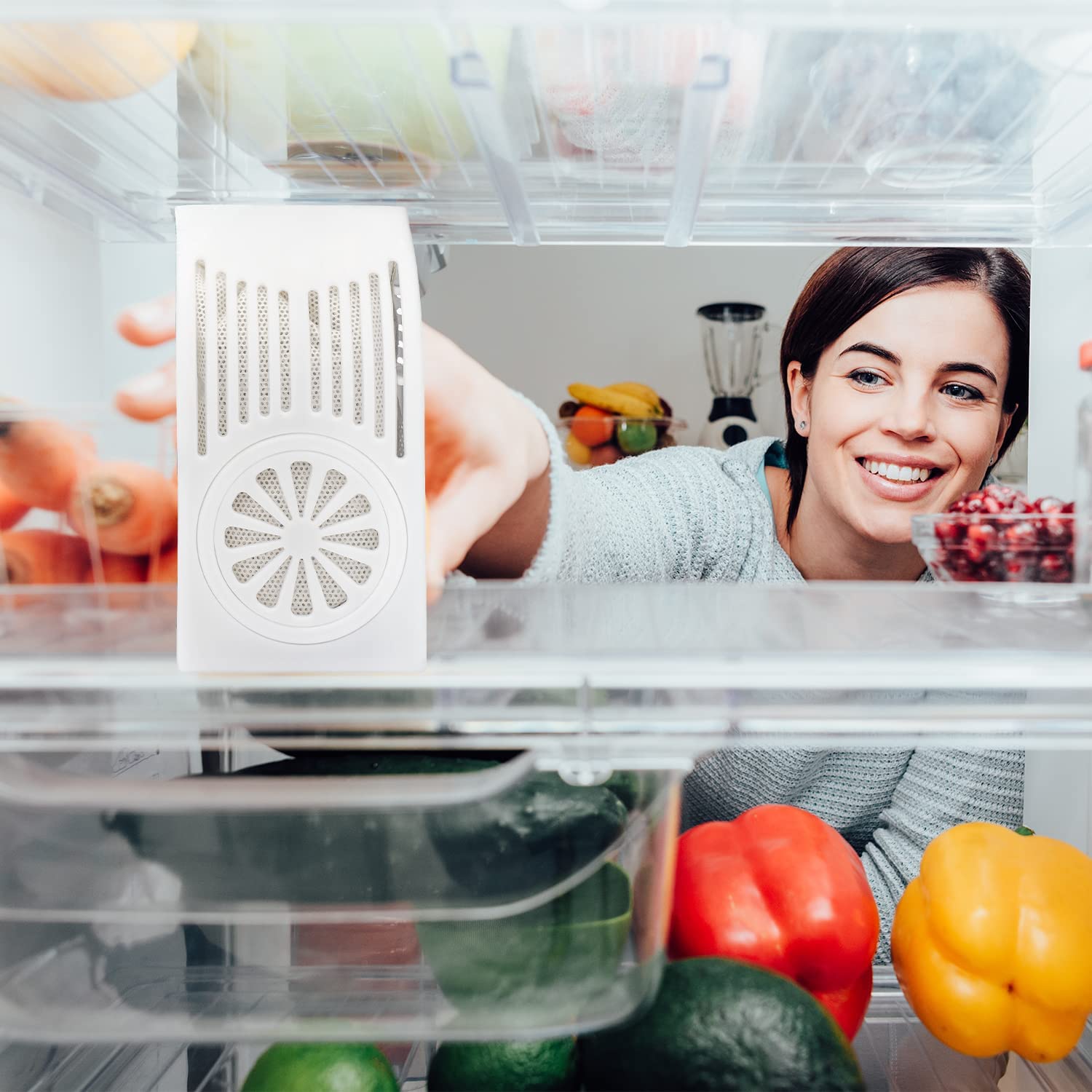 Cooler Odor Absorber Natural Smell Remover Refrigerator Deodorizer Fridge and Freezer