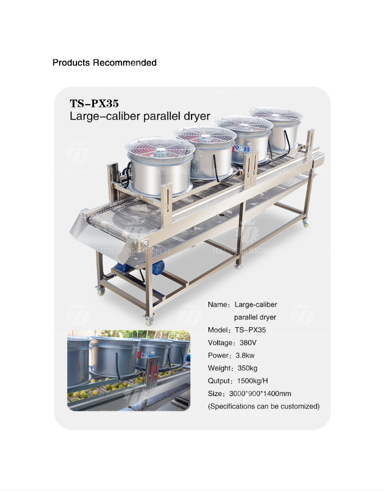 Industrial Cassava Tomato Vegetable Processing Machine Drying And Selection
