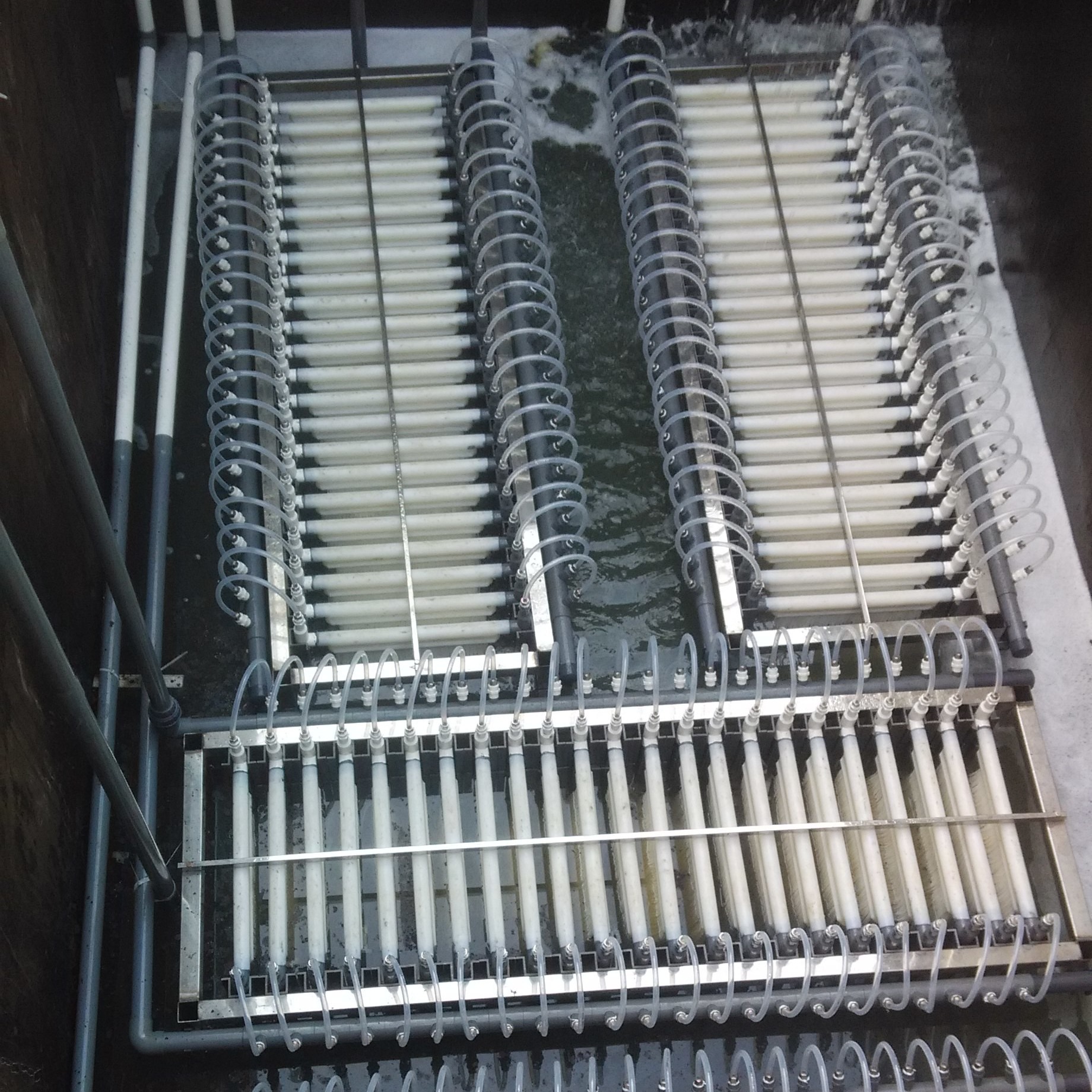 0.05um Hollow Fiber Reactor For Sewage Treatment PVDF Submerged Mbr Membrane