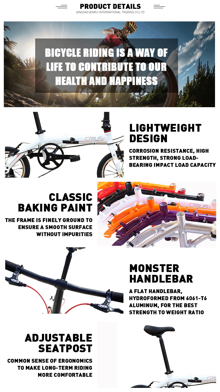 Lightweight 14 Inch Aluminum Alloy Single Speed Folding Bike For Outdoor Adventures