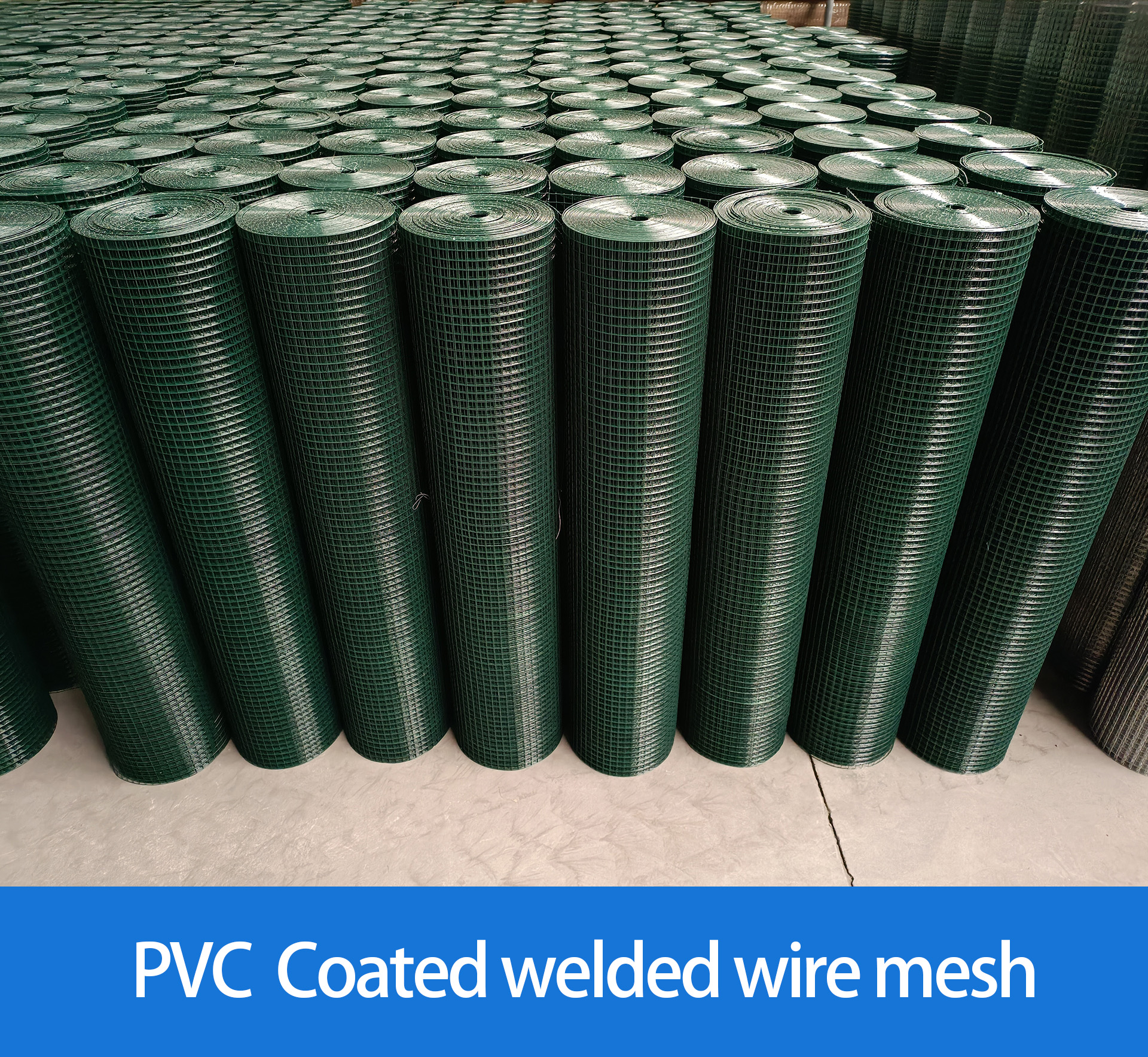 Factory good price 1/2" welded wire mesh roll