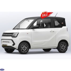 China 2995x1495x1640 Size Dongfeng Fengguang Mini EV Car with European Certification in 2023 on sale