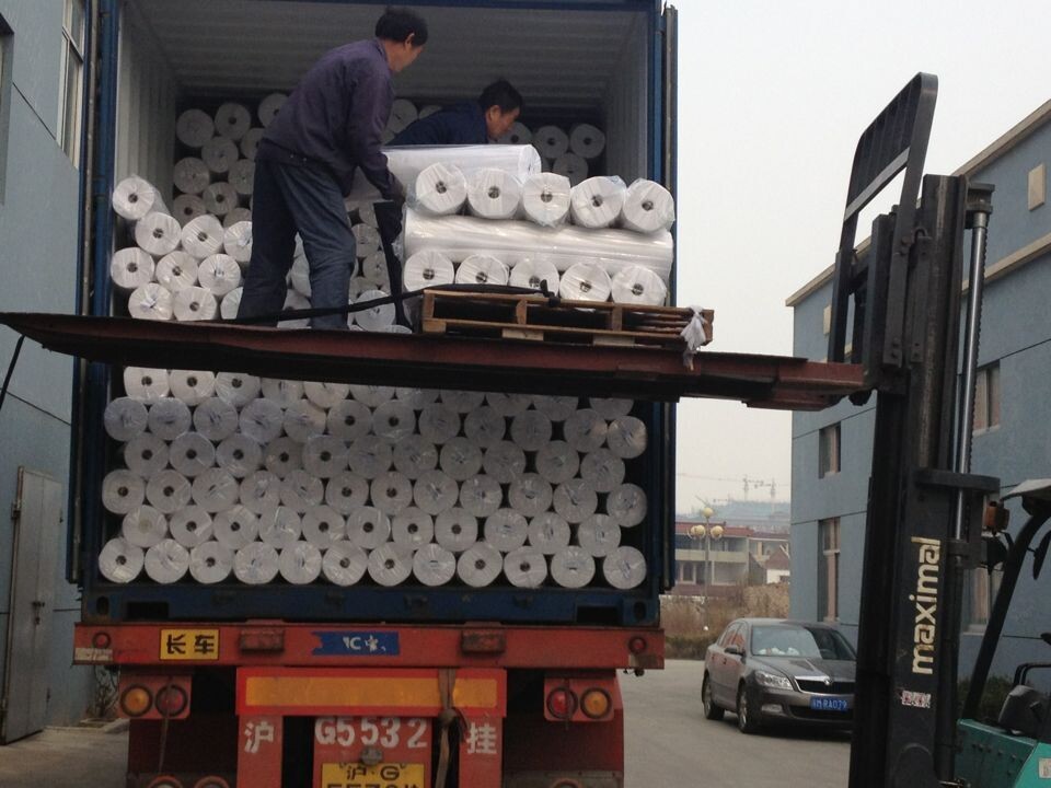 Nonwoven Automotive Polyester Fabric with Anti-Bacterial Properties at Competitive