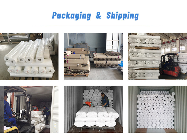 Transparent Slip Hot Melt Adhesive Film Fused Interlining For Garment