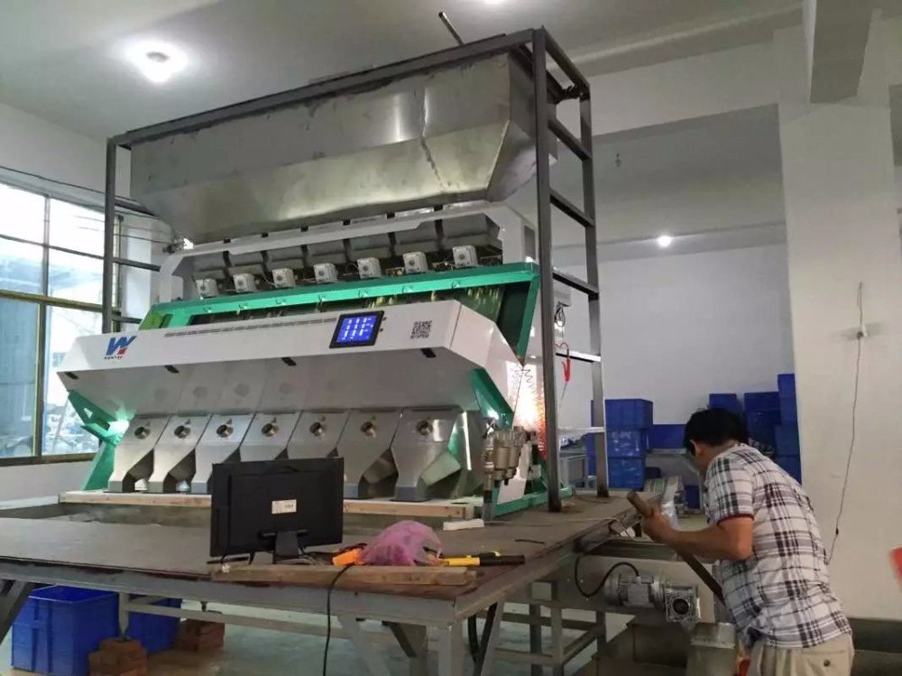 Wenyao Newest Optical CE Certificate Pumpkin Seeds Watermelon Seeds Color Sorting Machine