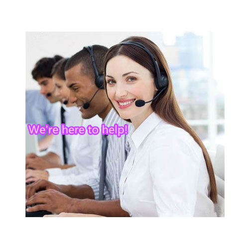 High Quality Free Sample 10% Polysaccharide Factory Aretium Lappa Burdock Root extracts