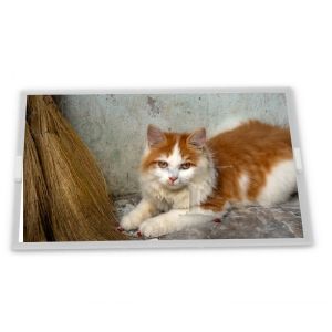  9 inch a-Si TFT-LCD TM090RFH01 online one-stop shopping rectangular screen lcd display panel new and original Manufactures