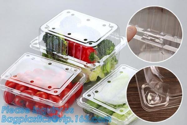 Blister Packaging Food Container,Disposable Blister Fruit Salad Container