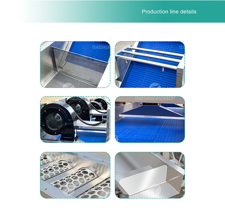 Tengsheng High Voltage Spraying Fruit And Vegetable Processing Line Industrial residual degradation