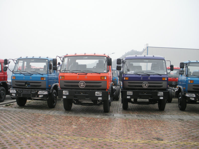 Euro3 Dongfeng CNG EQ1166GF Cargo Truck,Dongfeng Camiones,Dongfeng Truck