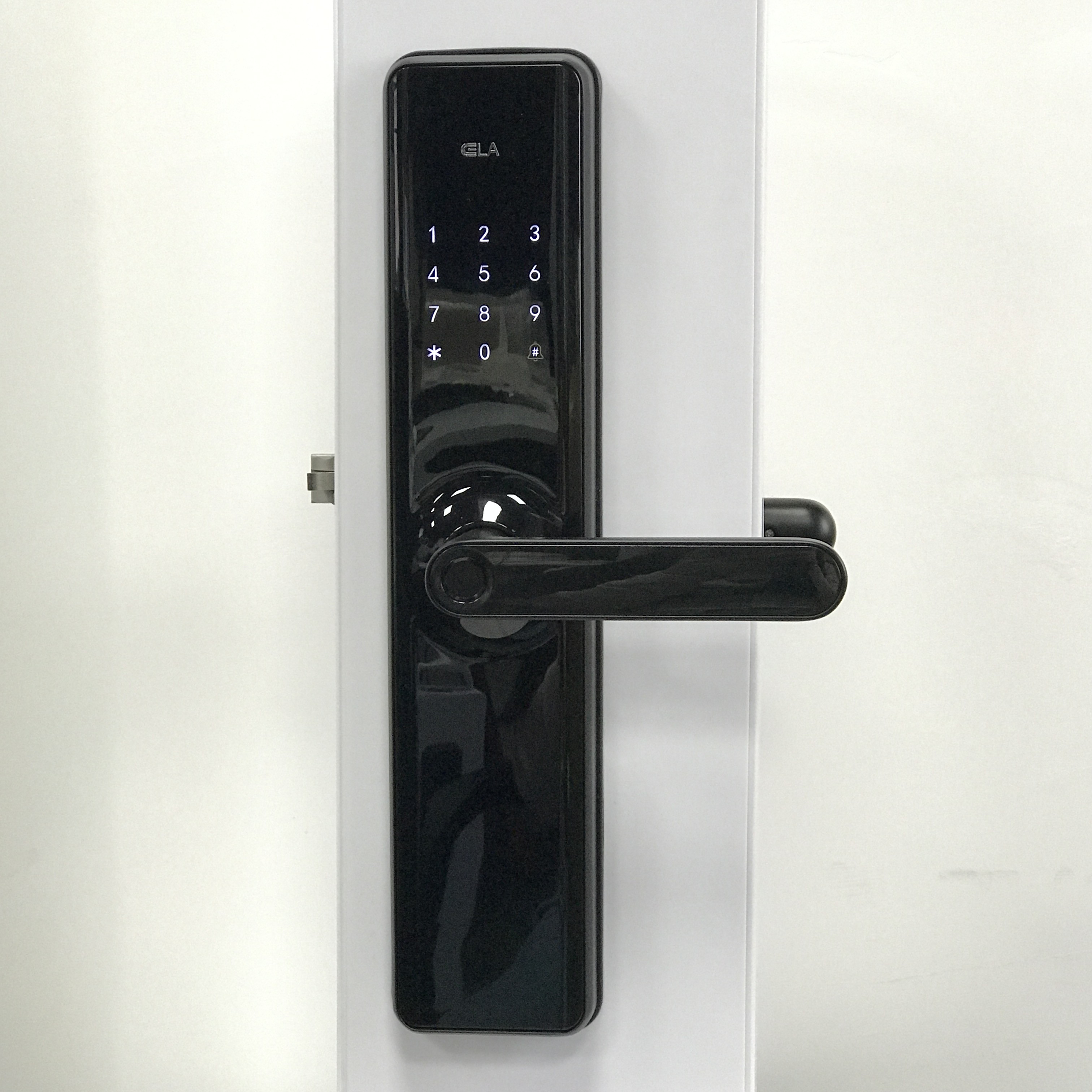 Aluminum Alloy Tuya APP Smart Lock Outdoor Fingerprint Door Lock