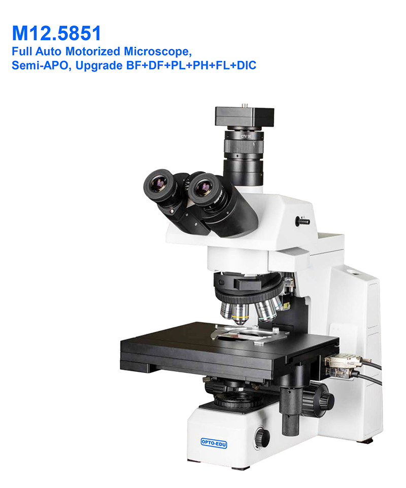 Opto Edu M12.5851 BF XYZ Stage Motorized Laboratory Biological Microscope