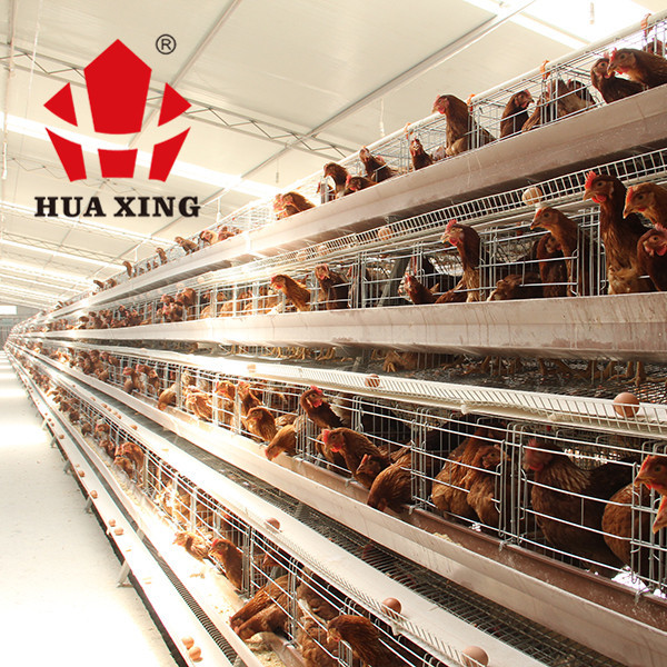 90/96/120/128/160 Birds Laying Poultry Chicken Cage System Farming A Type 3/4 Tiers Battery Layer Cage