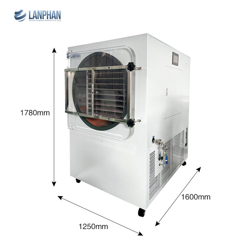 60-70 Kg/Batch Food Fruit Vegetable Large Freeze Dryer Commercial Freeze Drying Machine