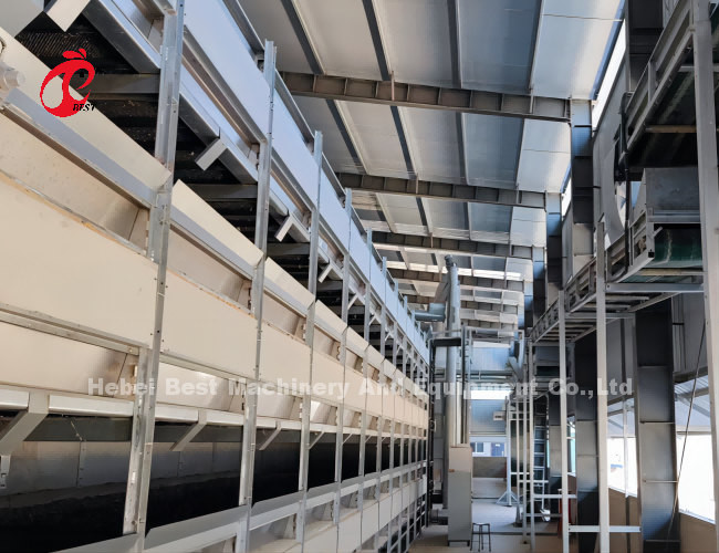Battery Layer Chicken Cages Automatic Egg A / H Type Rose