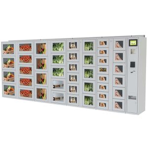  Coin / Banknote Payment Vending Lockers With Secured Electronic Locker System Manufactures
