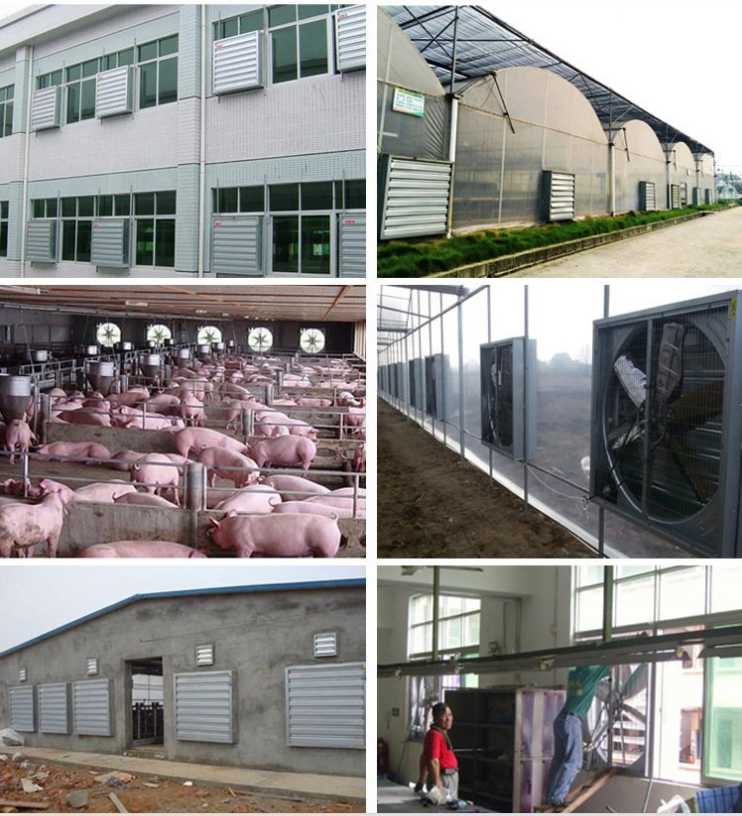 Hot Sales High Quality 54 Inch Exhaust Fan for Greenhouse or Poultry Farm or Pig House From China