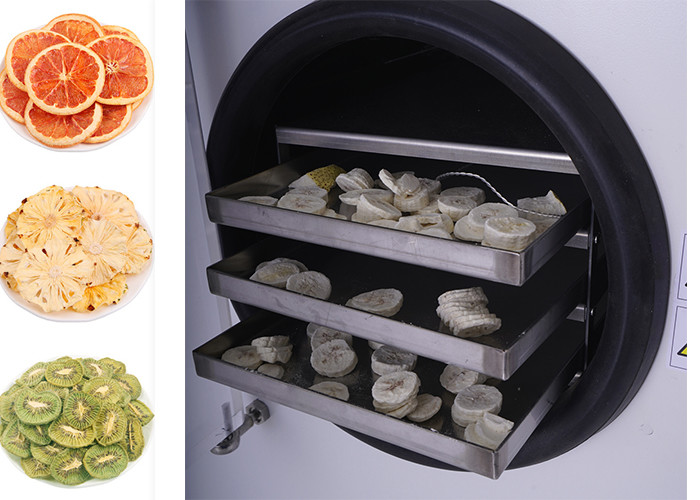 Household Vacuum Stayfresh Freeze Dryer PLC Control System