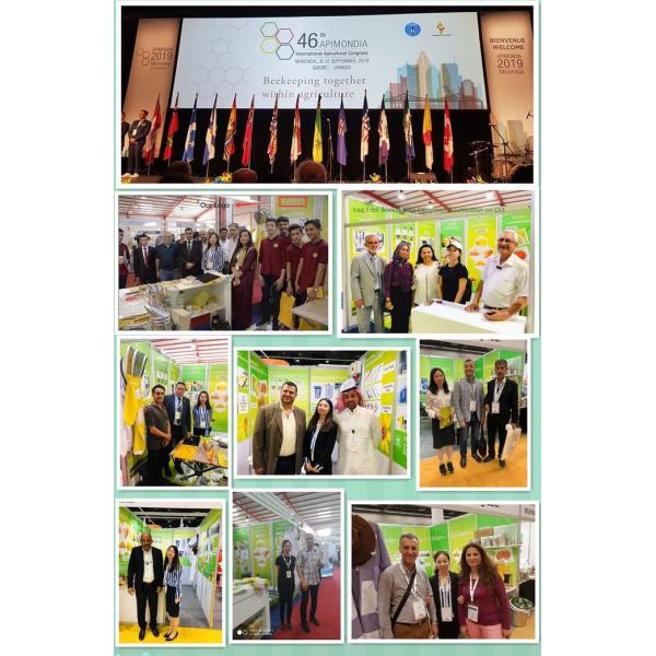 BEESTAR Stainless Steel Beehive Scraper with Wooden Handle - 189mm Length 35mm Width 98g Weight Multifunctional Hive Tool for Beekeeping