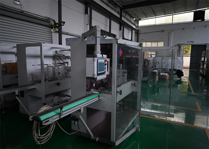 automated Pharma Blister Packaging Machine for sachet filling