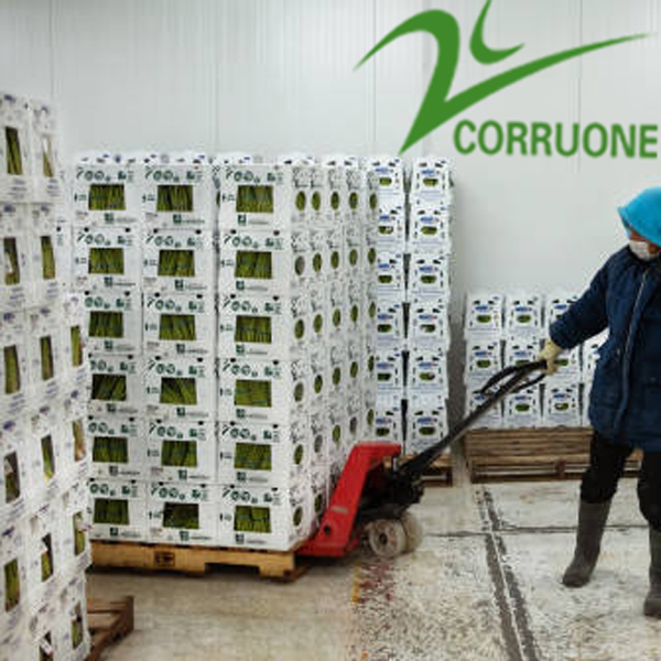 Corruone P PP Plastic Honeycomb Board high strength plastic package for con-panel correx board panel