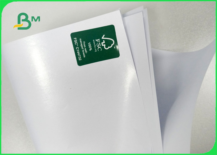 Food grade 70 / 78 gsm with 10 / 15gsm PE non-stick food woodfree paper in roll