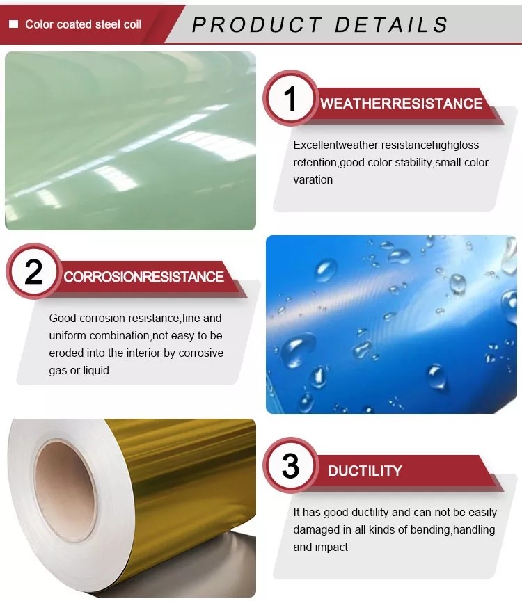 Dx51d ASTM 0.16mm 0.23mm Thicness 914mm 1219mm Width PPGL PPGI Color Coated Prepainted Galvanized Steel Coil